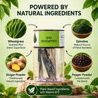 B12 Booster