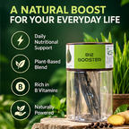 B12 Booster