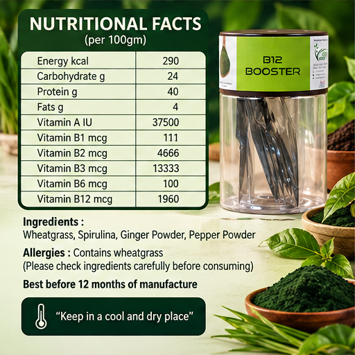 B12 Booster